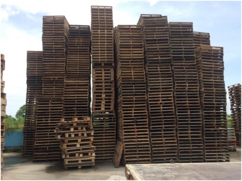 รับซื้อพาเลทไม้เก่า  พระประแดง